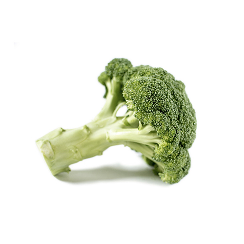 En enkelt broccoli med grønne buketter isoleret på hvid baggrund.