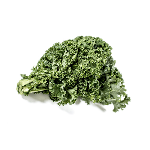 Frisk grønkålsbundle, krøllede blade, hvid baggrund