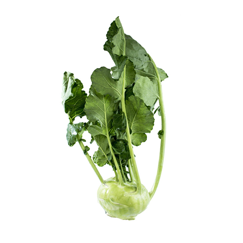 Grøn knudekål med blade på hvid baggrund