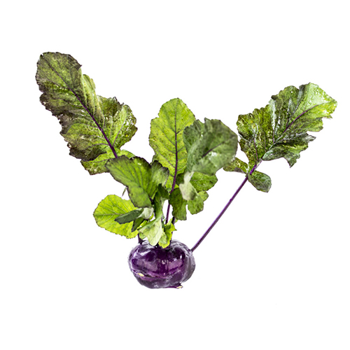 Rød glaskål med lange, grønne blade