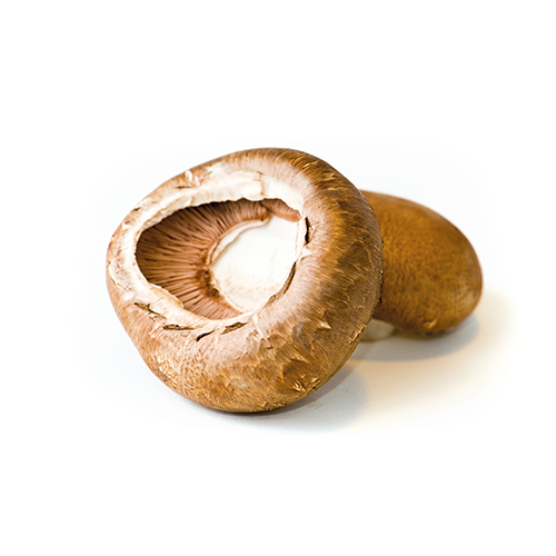 To brune svampe på en hvid baggrund, en åben og en lukket