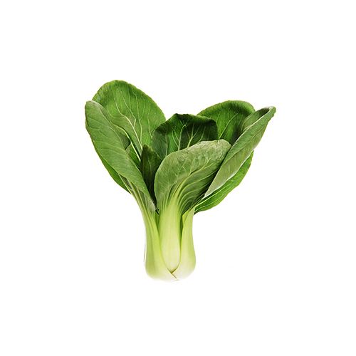 Pak choi med grønne, sprøde blade på hvid baggrund
