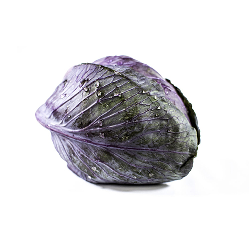 En friskt udseende rød spidskål med dugdråber