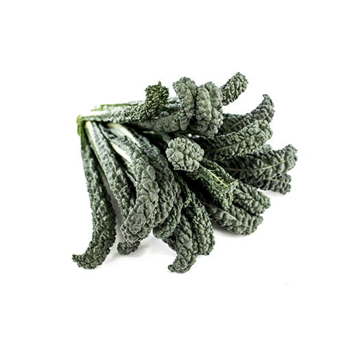 Bundt af grøn palmekål med krøllede blade på hvid baggrund