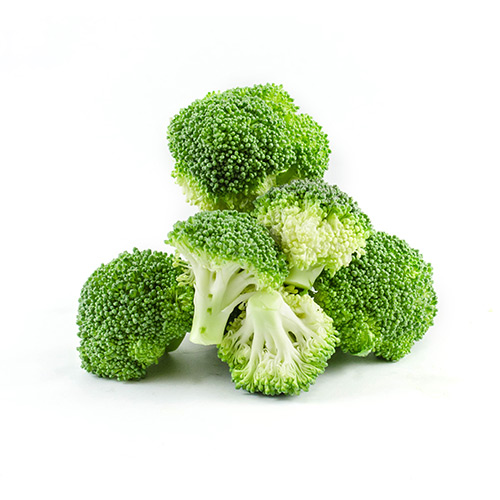 Friske grønne broccoli-hoveder på hvid baggrund