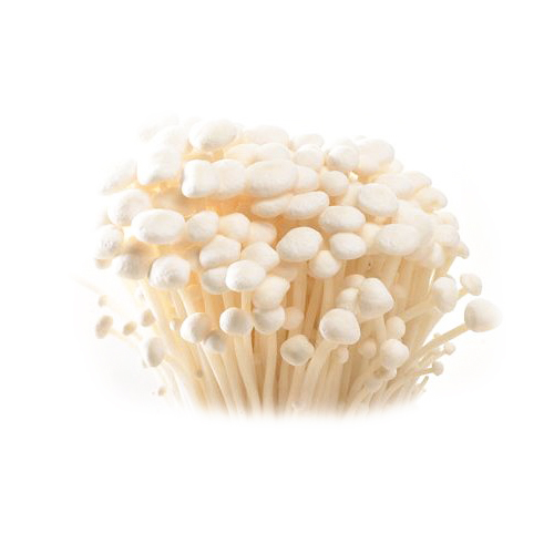 Hvidlige enoki-svampe i tæt klynge mod lys baggrund