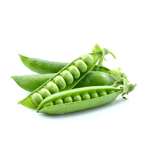 Hele og åbne bælge med grønne ærter på hvid baggrund