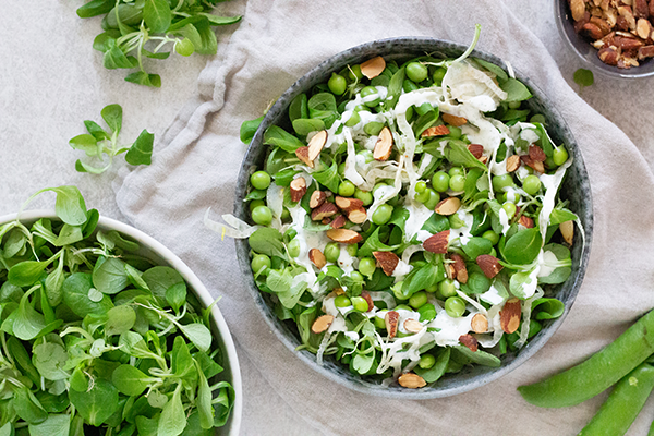 sommersalat med ærter og fennikel