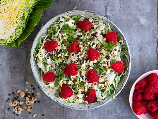 sommerslaw med fennikel